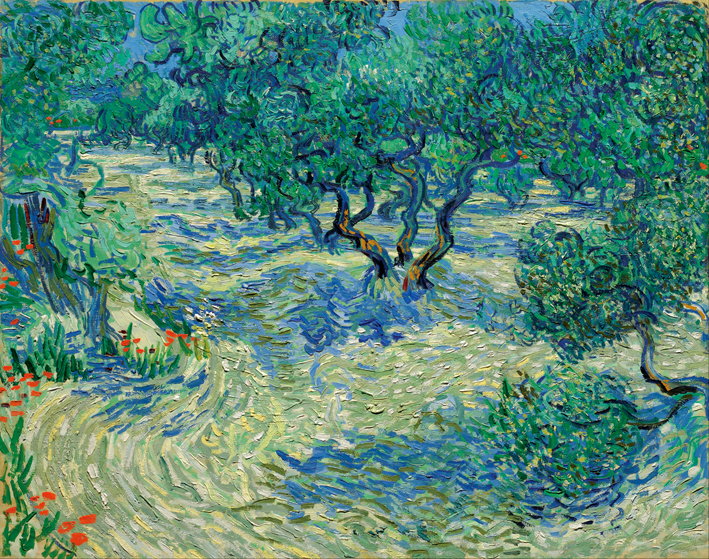  文森特·威廉·梵高  Vincent Willen Van Gogh —— 橄榄树丛 (2)